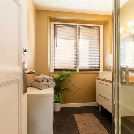 Le Rollin Cosy LOVELY - CONFORT- RELAX - CENTRE VILLE - PARKING FREE- 6 Voyageurs Dijon Exterior foto
