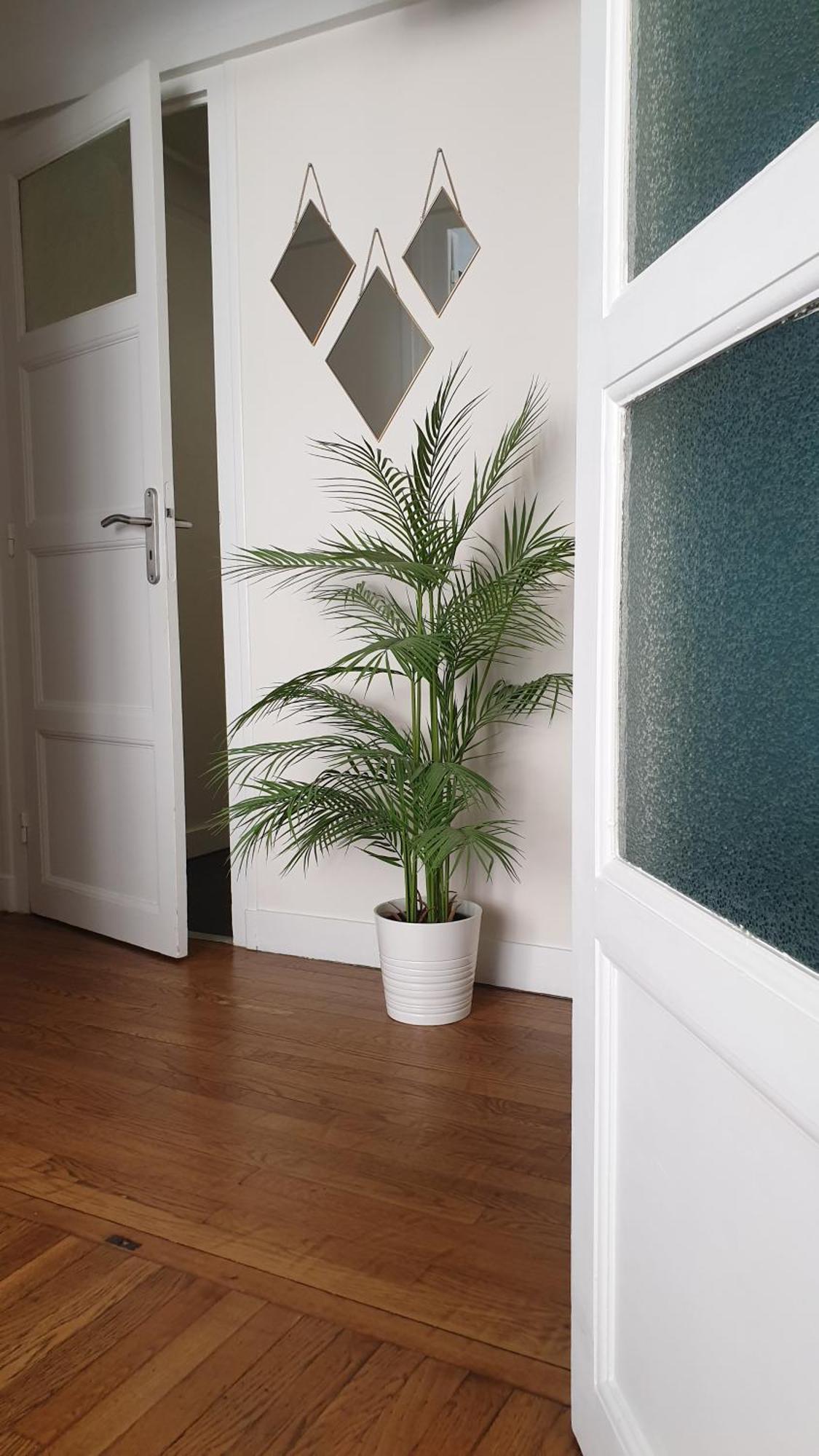 Le Rollin Cosy Lovely - Confort- Relax - Centre - Parking Free- 6 Voyageurs Apartment *